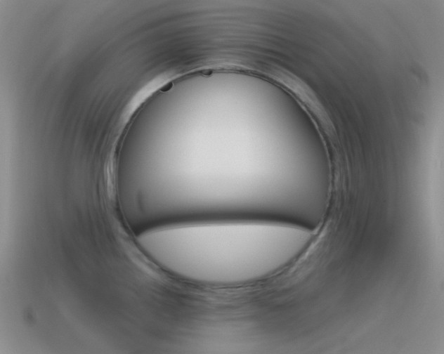 X0000115551242200911061120