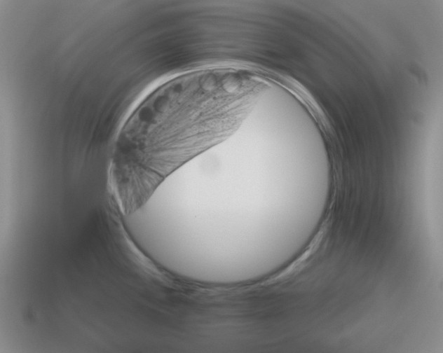 X0000115551244200911061120