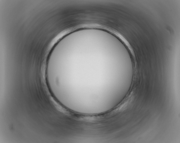 X0000115551245200911061120