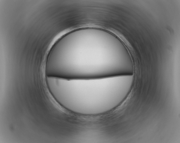 X0000115551246200911061120