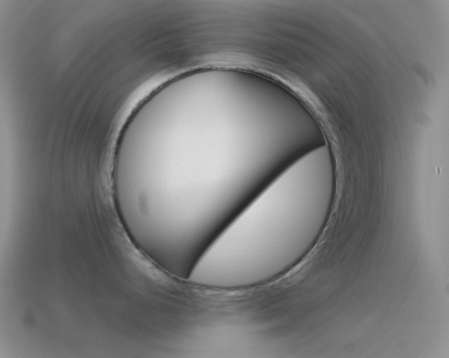 X0000115551248200911061121