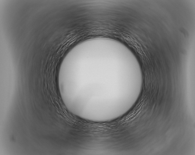 X0000115551249200911061120