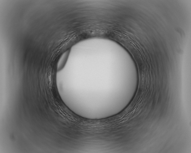 X0000115551250200911061120