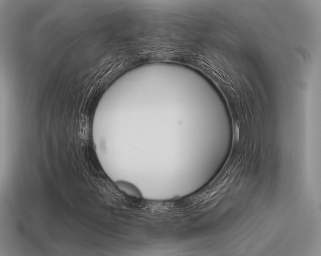 X0000115551251200911061120