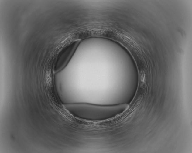 X0000115551252200911061120
