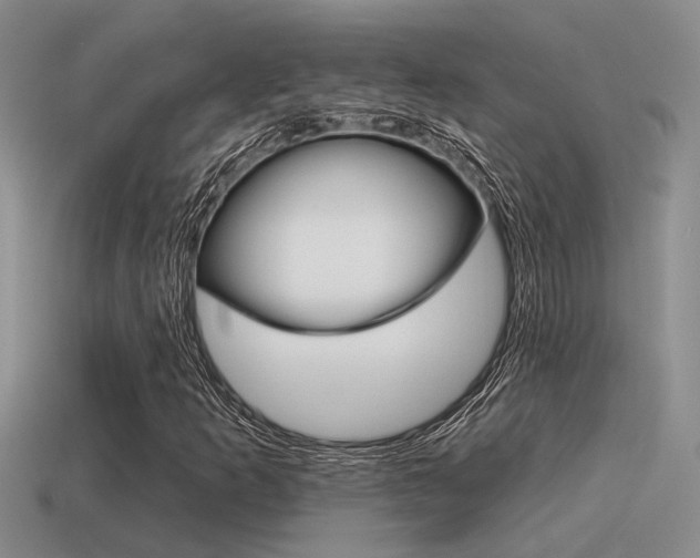 X0000115551253200911061120