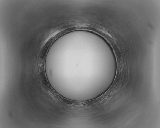 X0000115551255200911061120