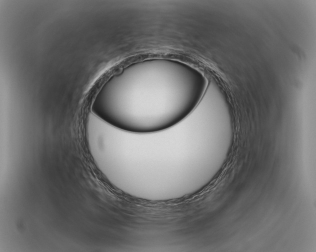 X0000115551256200911061120