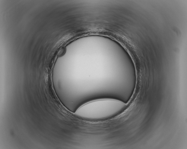 X0000115551257200911061120