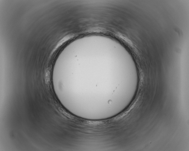 X0000115551258200911061120