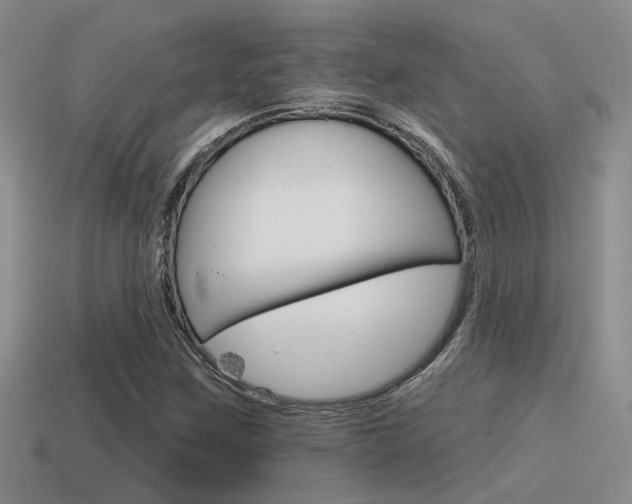 X0000115551259200911061120