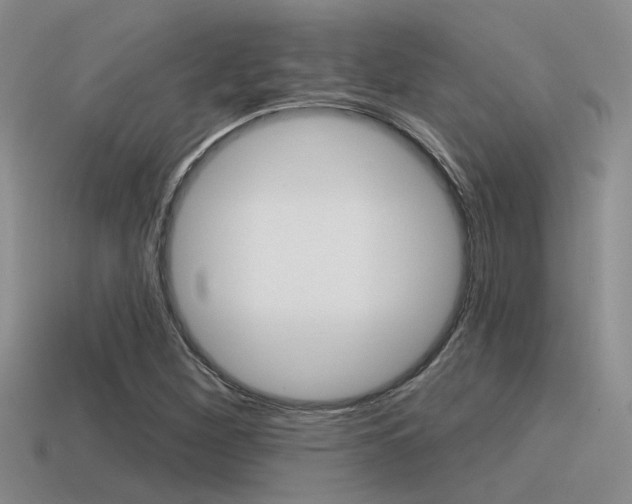 X0000115551260200911061120
