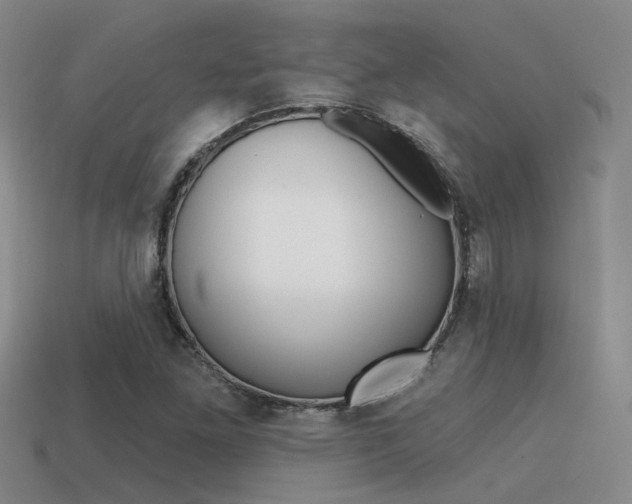 X0000115551261200911061120