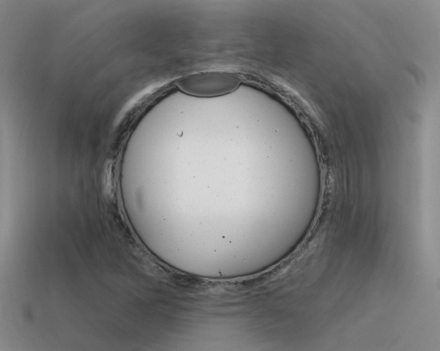 X0000115551262200911061120