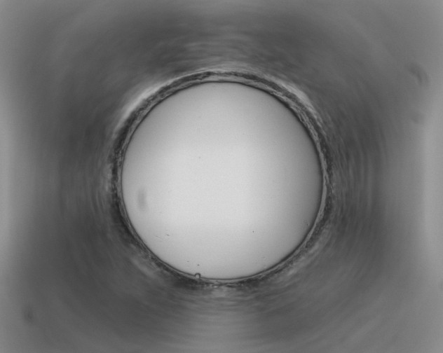 X0000115551263200911061120