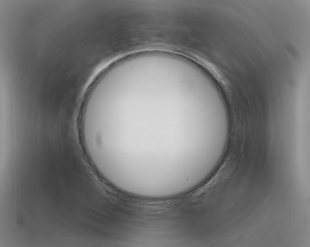 X0000115551264200911061120