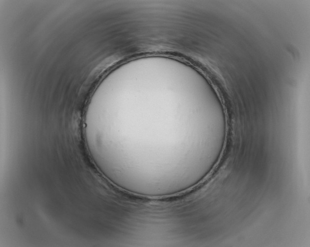 X0000115551265200911061120