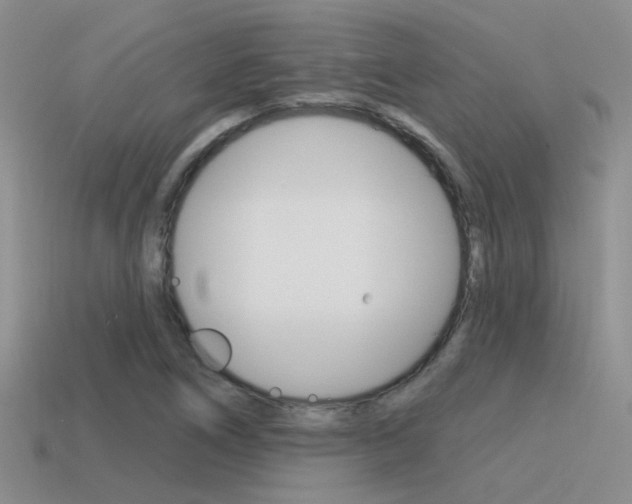 X0000115551266200911061119