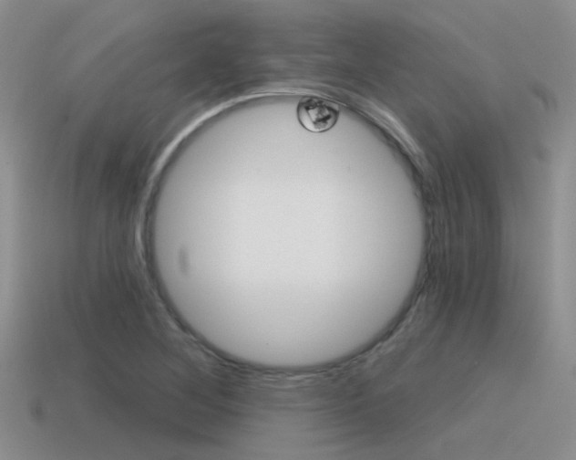 X0000115551268200911061119