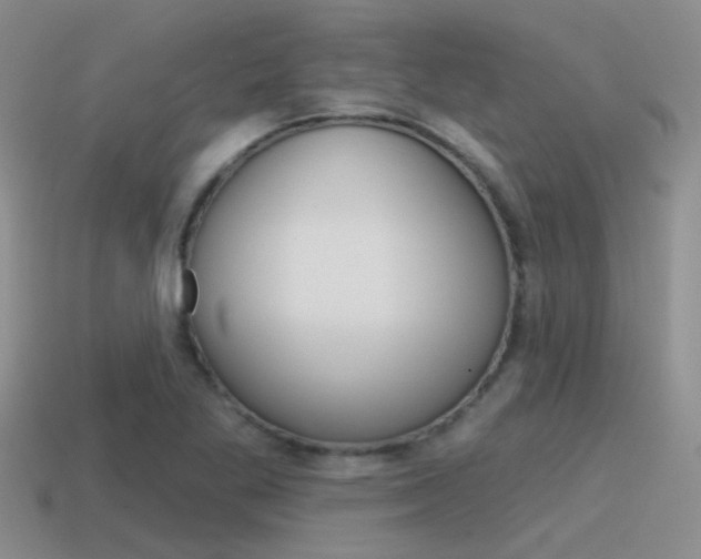 X0000115551269200911061119