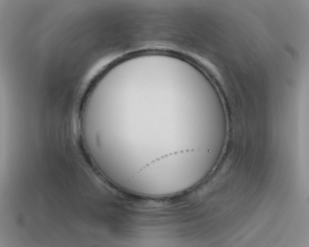 X0000115551271200911061119