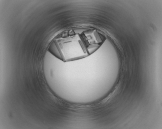 X0000115551273200911061119