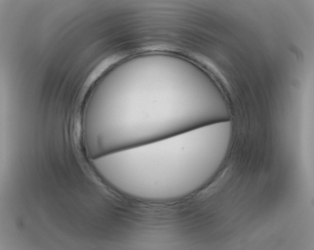 X0000115551274200911061119