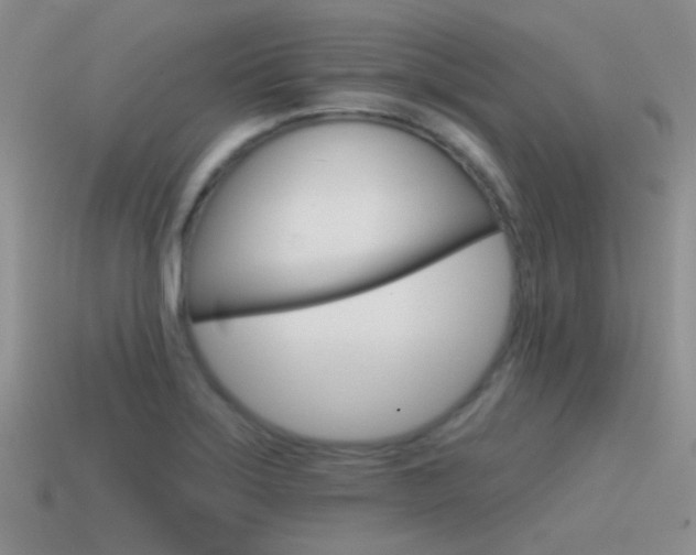 X0000115551275200911061119