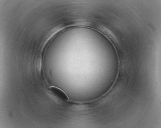 X0000115551276200911061119