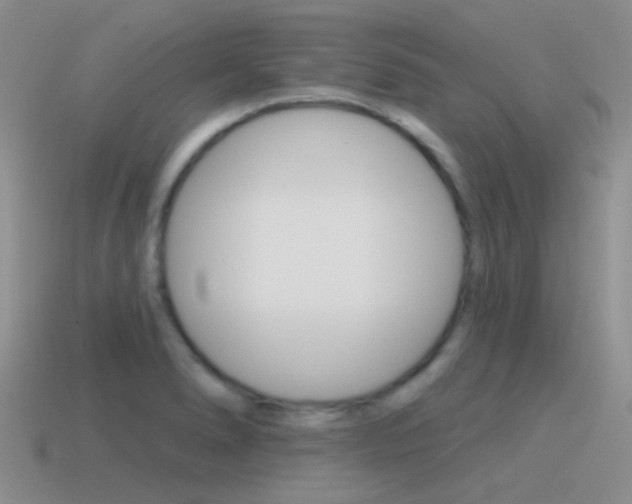 X0000115551278200911061119