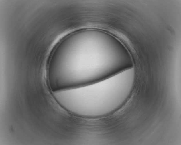 X0000115551280200911061119