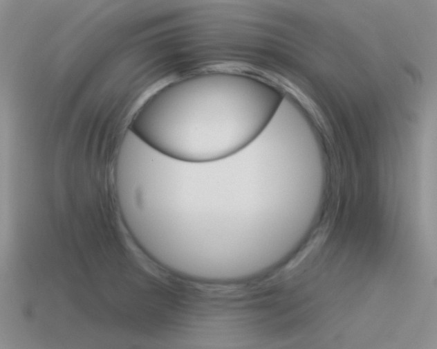 X0000115551281200911061119