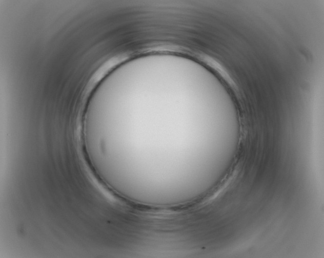 X0000115551282200911061119