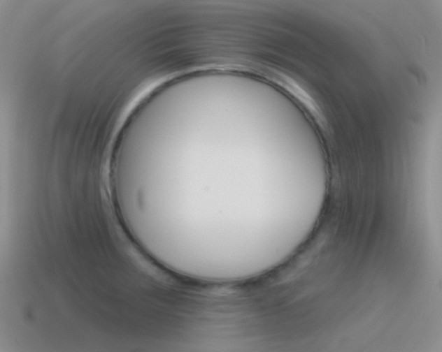 X0000115551283200911061119