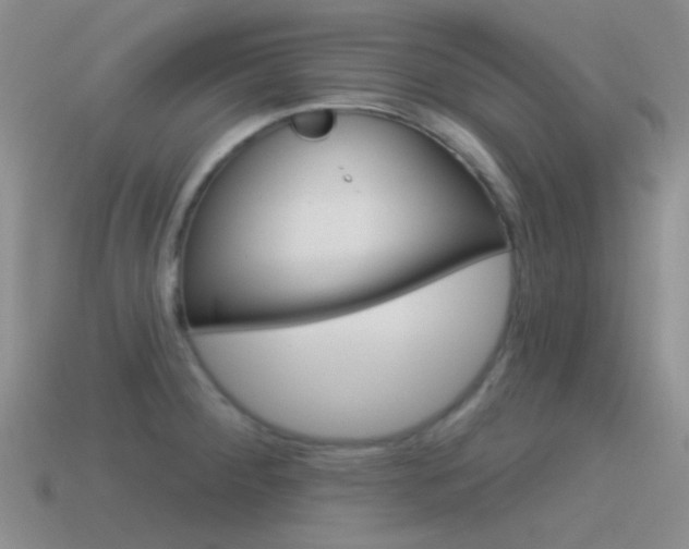 X0000115551284200911061119