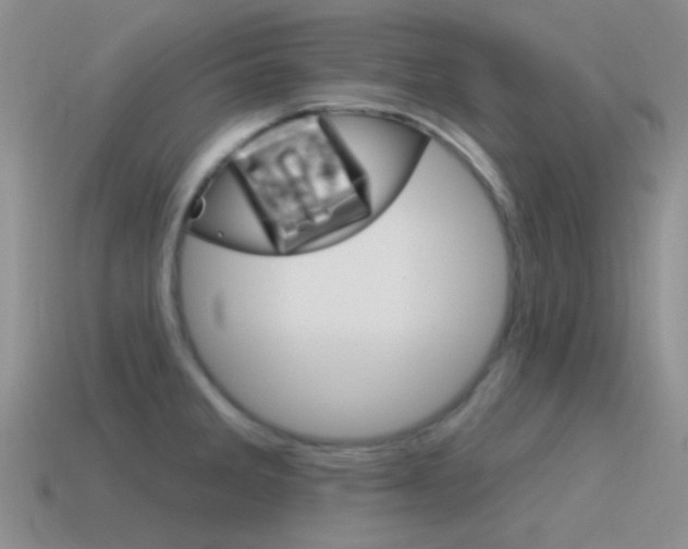X0000115551285200911061119
