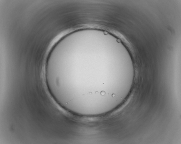 X0000115551286200911061119