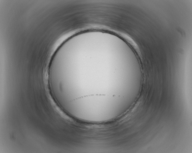X0000115551287200911061119