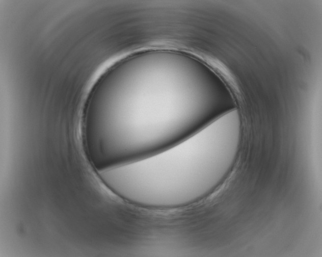 X0000115551288200911061119