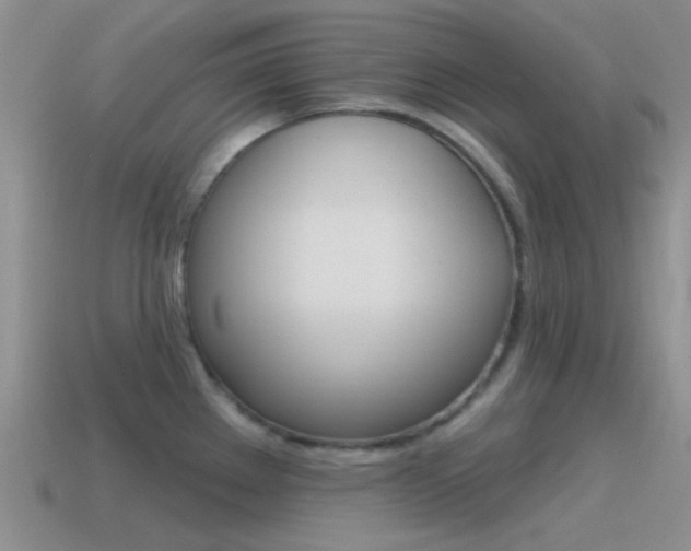 X0000115551289200911061119