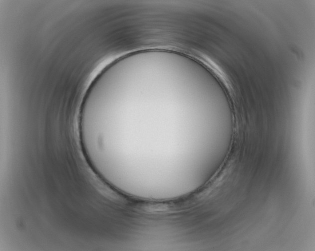 X0000115551291200911061119
