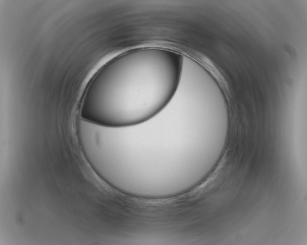X0000115551292200911061119