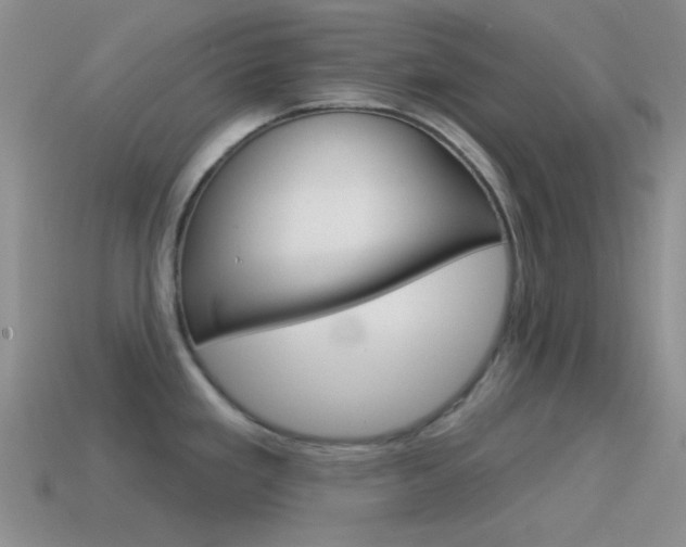 X0000115551293200911061119