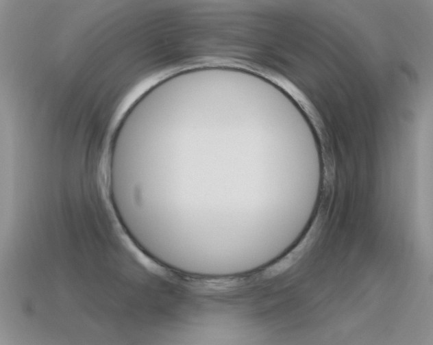 X0000115551294200911061119