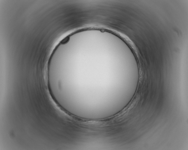 X0000115551295200911061119