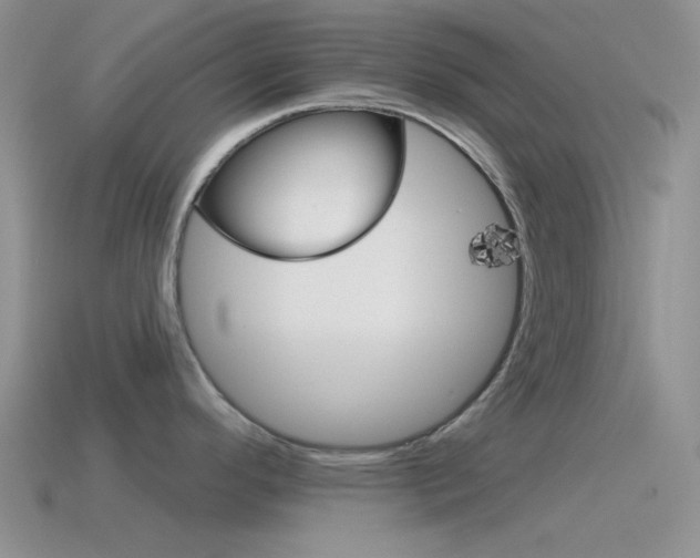 X0000115551296200911061119