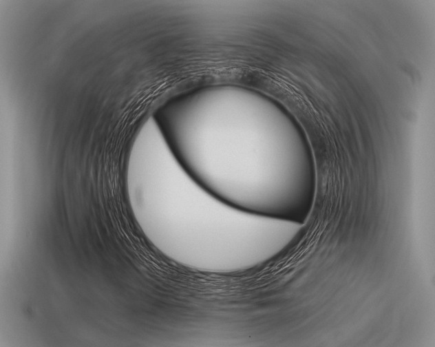 X0000115551298200911061118
