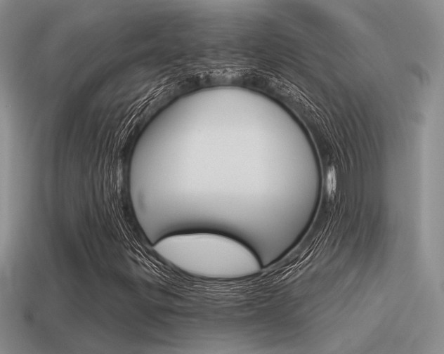 X0000115551299200911061118