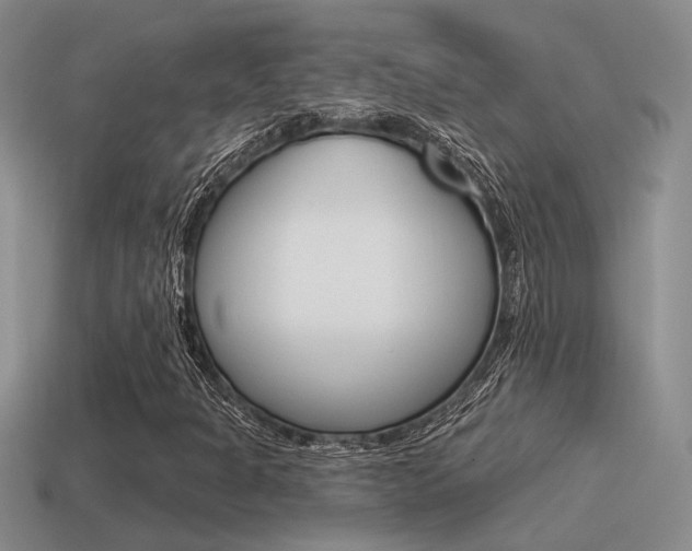 X0000115551301200911061118