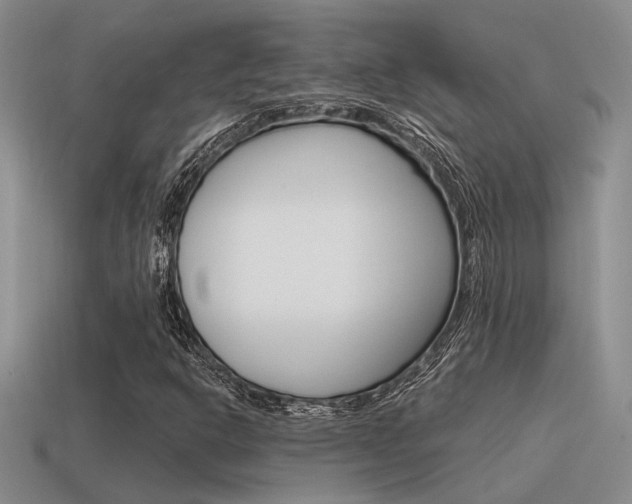 X0000115551302200911061118